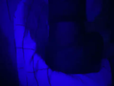 WarmSound online show from January 15, 2026, 6:39 am