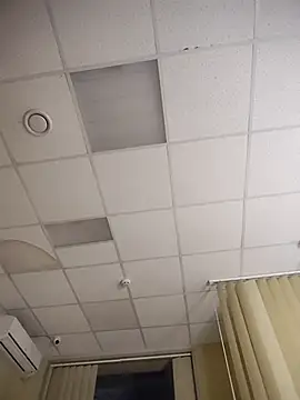 yurii magic online show from January 16, 2026, 8:51 am