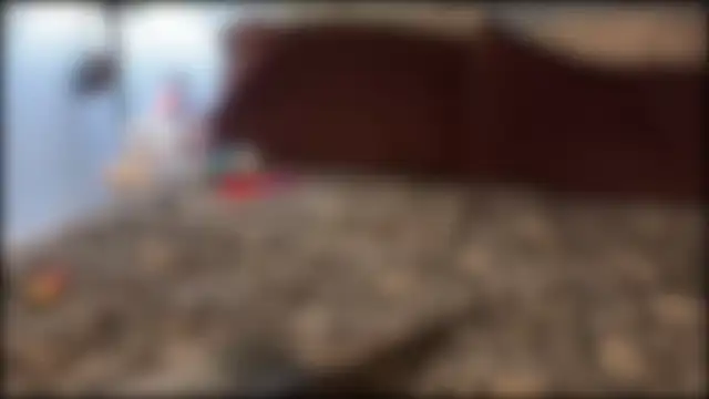 mysunidreamss online show from January 17, 2026, 2:04 am