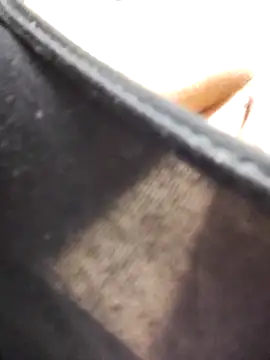 kadani online show from February 6, 2026, 3:57 am