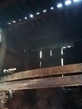 miray- online show from March 13, 2026, 10:31 am