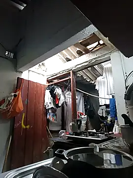 PatriciaGrajales online show from March 15, 2026, 4:03 pm