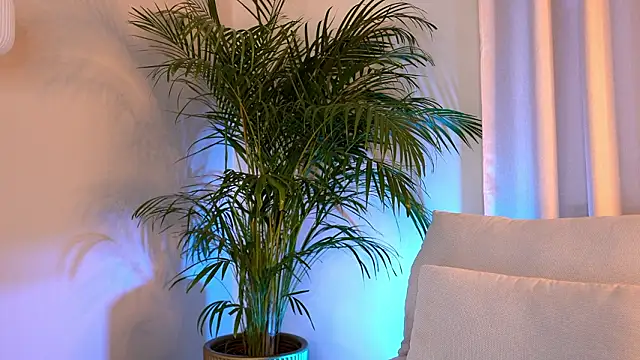 Snapshot of Tinydoll_XO chatting on February 9, 2026, 3:32 pm Tinydoll XO online show from February 9, 2026, 3:32 pm