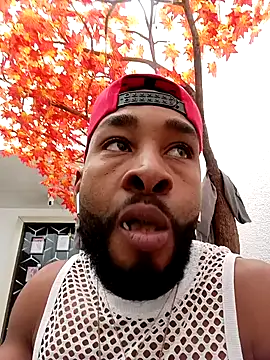 Dante Knox online show from April 4, 2026, 6:36 pm