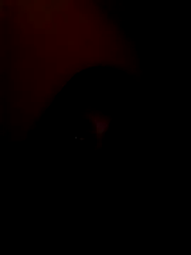 Snapshot of arushi_bb chatting on January 15, 2026, 3:37 pm arushi bb online show from January 15, 2026, 3:37 pm