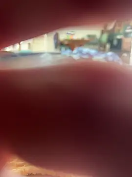 Hamsterdich online show from April 29, 2026, 10:52 am