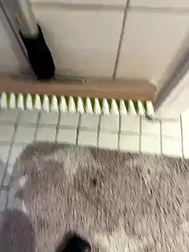 Hamsterdich online show from January 18, 2026, 3:59 pm