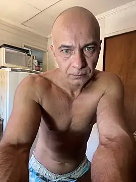 dogfrota online show from February 4, 2026, 3:07 pm