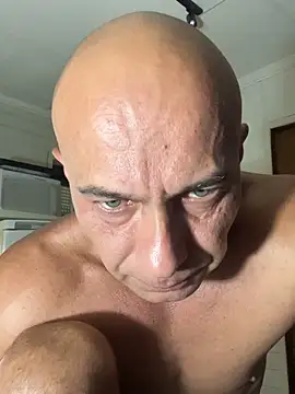 dogfrota online show from February 5, 2026, 3:13 am