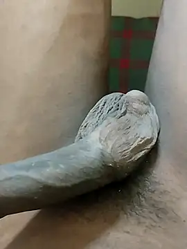 CoupleGoals69Fork online show from August 6, 2026, 7:31 pm
