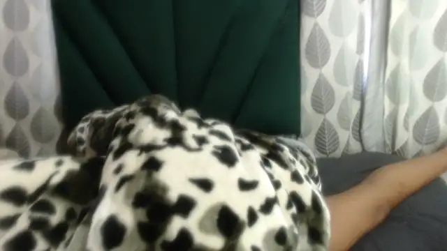 Nellybba online show from March 27, 2026, 5:49 am