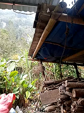 ERA 669 online show from January 19, 2026, 2:15 am