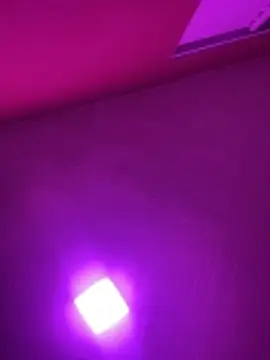 MorenaCariok online show from February 17, 2026, 4:37 pm