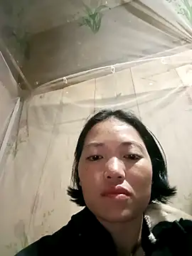 kotaka-shoow online show from February 11, 2026, 9:09 am