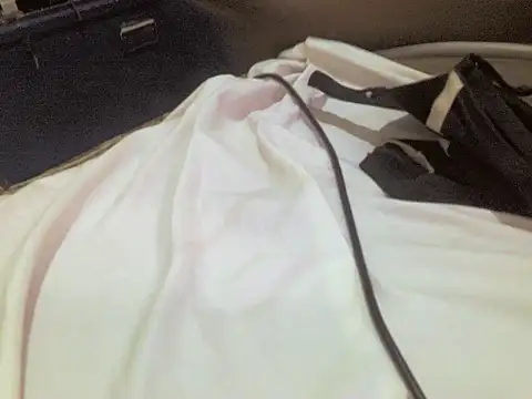 Snapshot of champers1234 chatting on February 13, 2026, 12:49 pm champers1234 online show from February 13, 2026, 12:49 pm