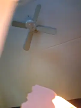 Snapshot of dewimp1 chatting on February 3, 2026, 8:52 am dewimp1 online show from February 3, 2026, 8:52 am