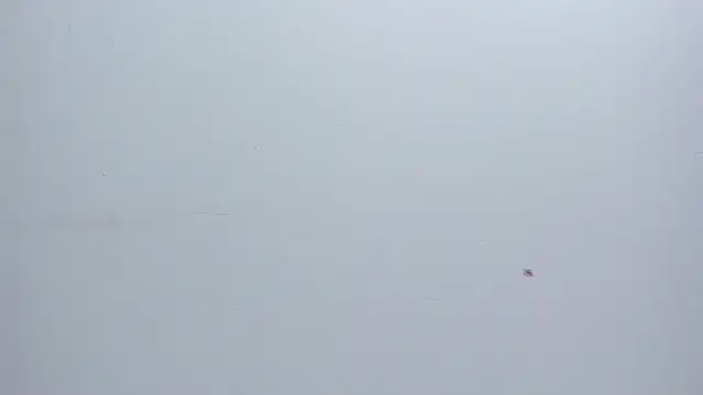 Melanie  Evans online show from March 17, 2026, 10:51 am