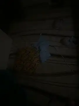 dragon ndragos online show from February 24, 2026, 10:43 pm