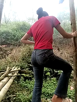 Hoa-tuylip online show from March 24, 2026, 2:11 am