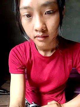 Hoa-tuylip online show from April 13, 2026, 7:56 am