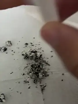 Snapshot of dickdondra chatting on February 2, 2026, 11:42 am dickdondra online show from February 2, 2026, 11:42 am