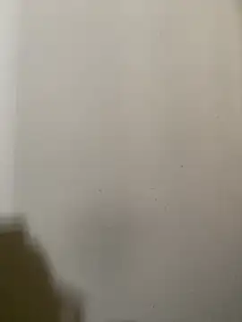 exoticshruti online show from February 2, 2026, 7:29 am