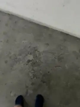 Snapshot of Wvpppp chatting on February 24, 2026, 8:37 am Wvpppp online show from February 24, 2026, 8:37 am