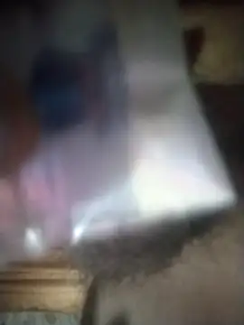 Snapshot of degeneradicto chatting on February 9, 2026, 1:25 am degeneradicto online show from February 9, 2026, 1:25 am