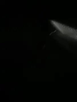 Jordan Blanco online show from March 30, 2026, 11:11 am