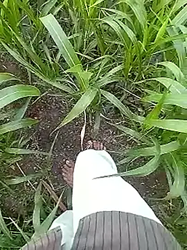 Cute Boy 4 online show from April 17, 2026, 2:03 am