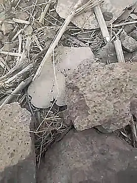 Snapshot of Cute_Boy_4 chatting on February 18, 2026, 7:39 am Cute Boy 4 online show from February 18, 2026, 7:39 am