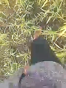 Snapshot of Cute_Boy_4 chatting on February 28, 2026, 2:22 am Cute Boy 4 online show from February 28, 2026, 2:22 am