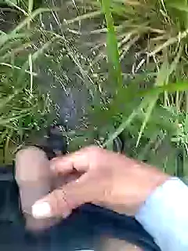 Cute Boy 4 online show from April 11, 2026, 2:41 am