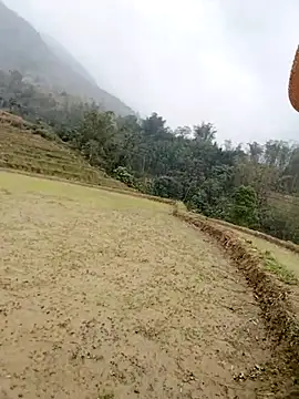 Tina-beo online show from March 28, 2026, 2:23 am