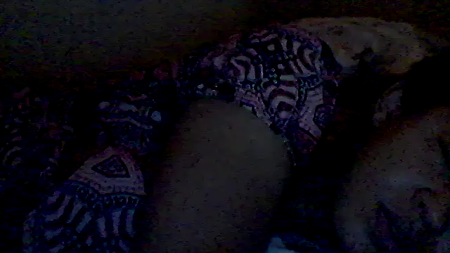 lorraine2036 online show from February 17, 2026, 2:58 pm