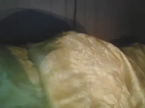 Prikev38452 online show from April 11, 2026, 5:59 am