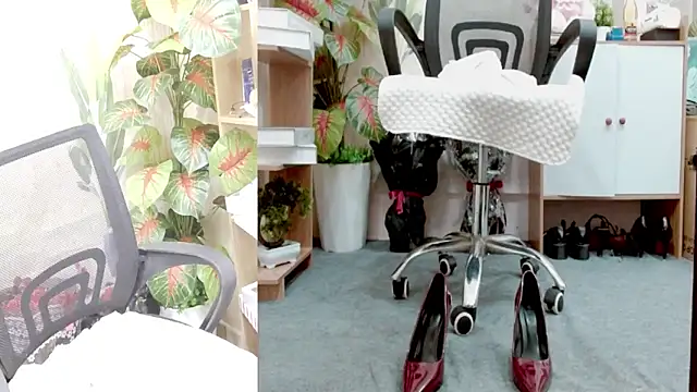 Zinna999 online show from March 18, 2026, 12:08 pm