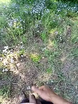 Sharmasamba online show from March 25, 2026, 5:29 am