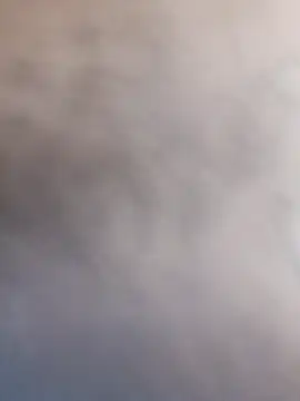 sushi-asa online show from March 8, 2026, 6:49 am