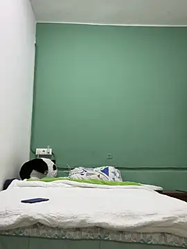 Snapshot of DavShi chatting on February 25, 2026, 10:31 pm DavShi online show from February 25, 2026, 10:31 pm