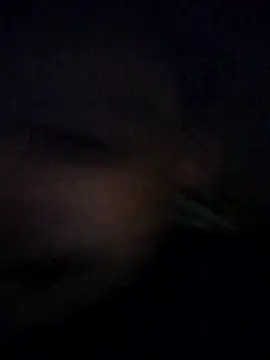 Snapshot of matheusalvesba chatting on April 15, 2026, 12:38 am matheusalvesba online show from April 15, 2026, 12:38 am
