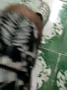 Snapshot of Gordinho_dos_pes chatting on February 23, 2026, 9:48 pm Gordinho dos pes online show from February 23, 2026, 9:48 pm