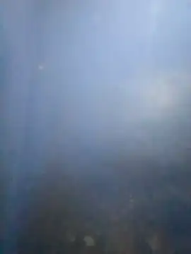 S7LEALTADPERVLIMA7 online show from May 25, 2026, 7:51 am