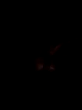 Harry302933 online show from March 11, 2026, 4:56 pm