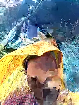 Meena sakshi online show from February 3, 2026, 7:13 am