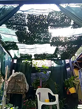 gordorichard online show from February 21, 2026, 12:40 pm