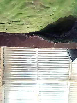 Hot ree64 online show from March 13, 2026, 7:24 am