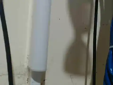 Snapshot of Charming_lexi chatting on February 4, 2026, 8:09 am Charming lexi online show from February 4, 2026, 8:09 am