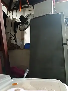 Snapshot of Wildcam21 chatting on February 24, 2026, 9:54 am Wildcam21 online show from February 24, 2026, 9:54 am