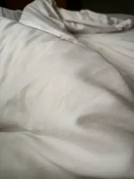 lucky9161 online show from February 17, 2026, 3:26 am